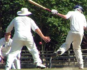 Nick Wright gets a bravery award for being hit by the fast bowler